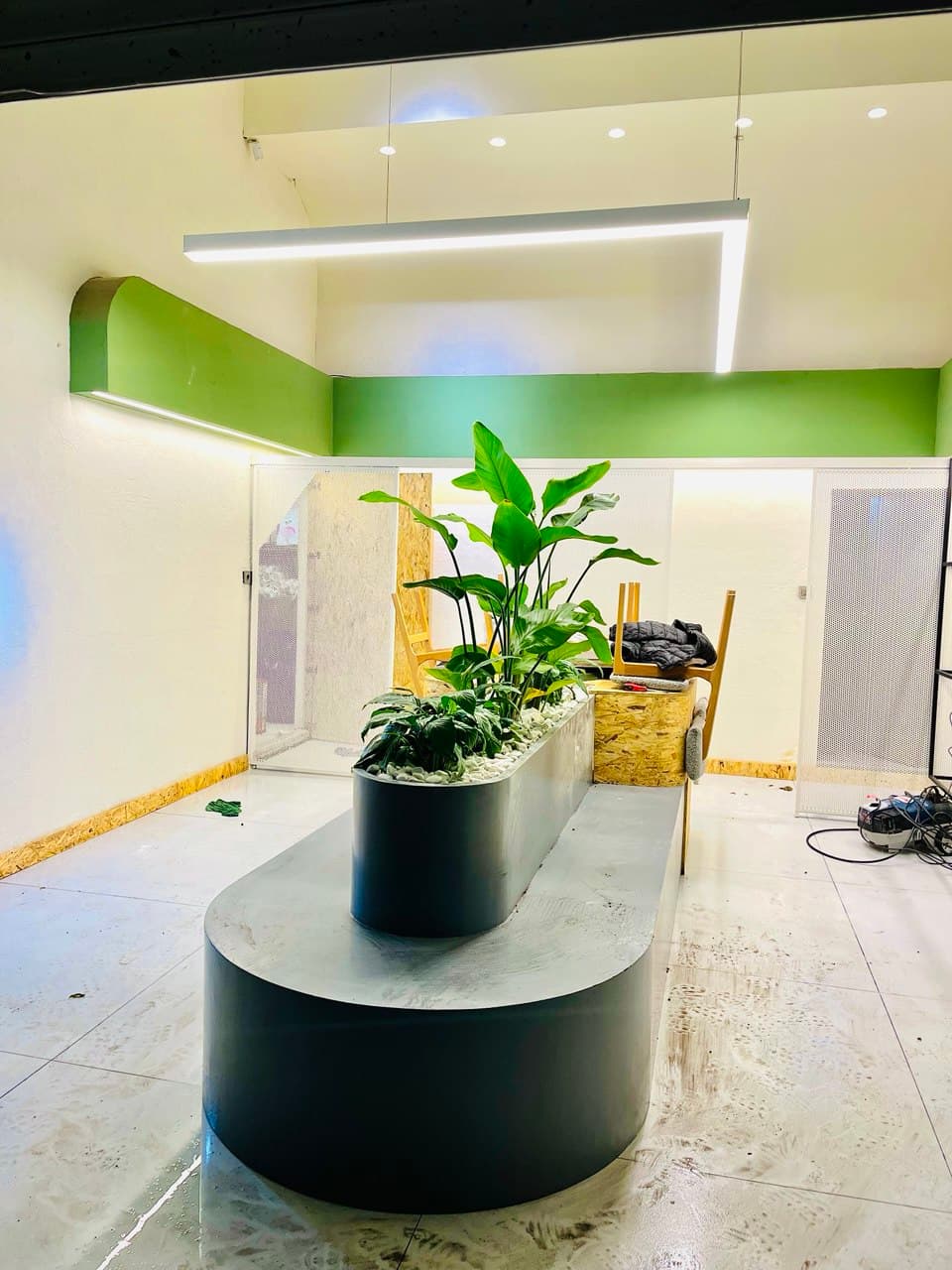 گل و گیاه آپارتمانی